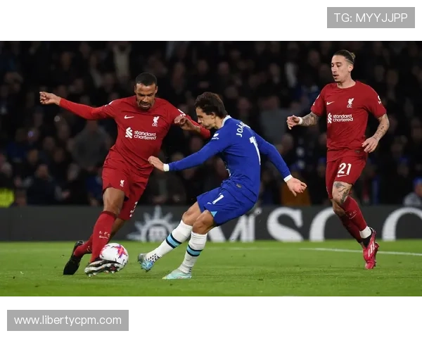 阿德莱德联詹姆斯破门扳平